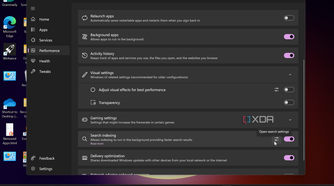 Shows Performance section to tweak Windows in wintoys