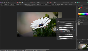 Affinity Photo brush selection