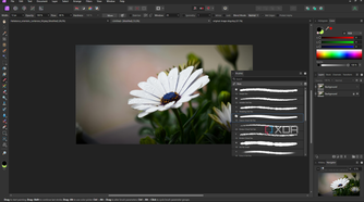 Affinity Photo brush selection