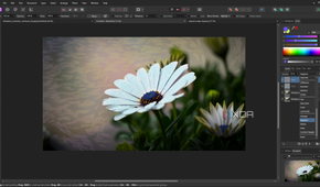 Affinity Photo brush stroke adjustments