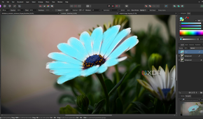 Affinity Photo brush strokes