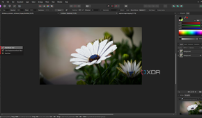 Affinity Photo brush tools