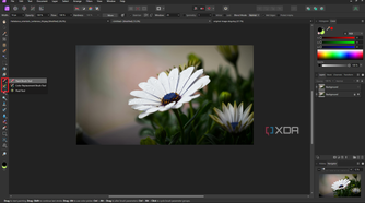 Affinity Photo brush tools