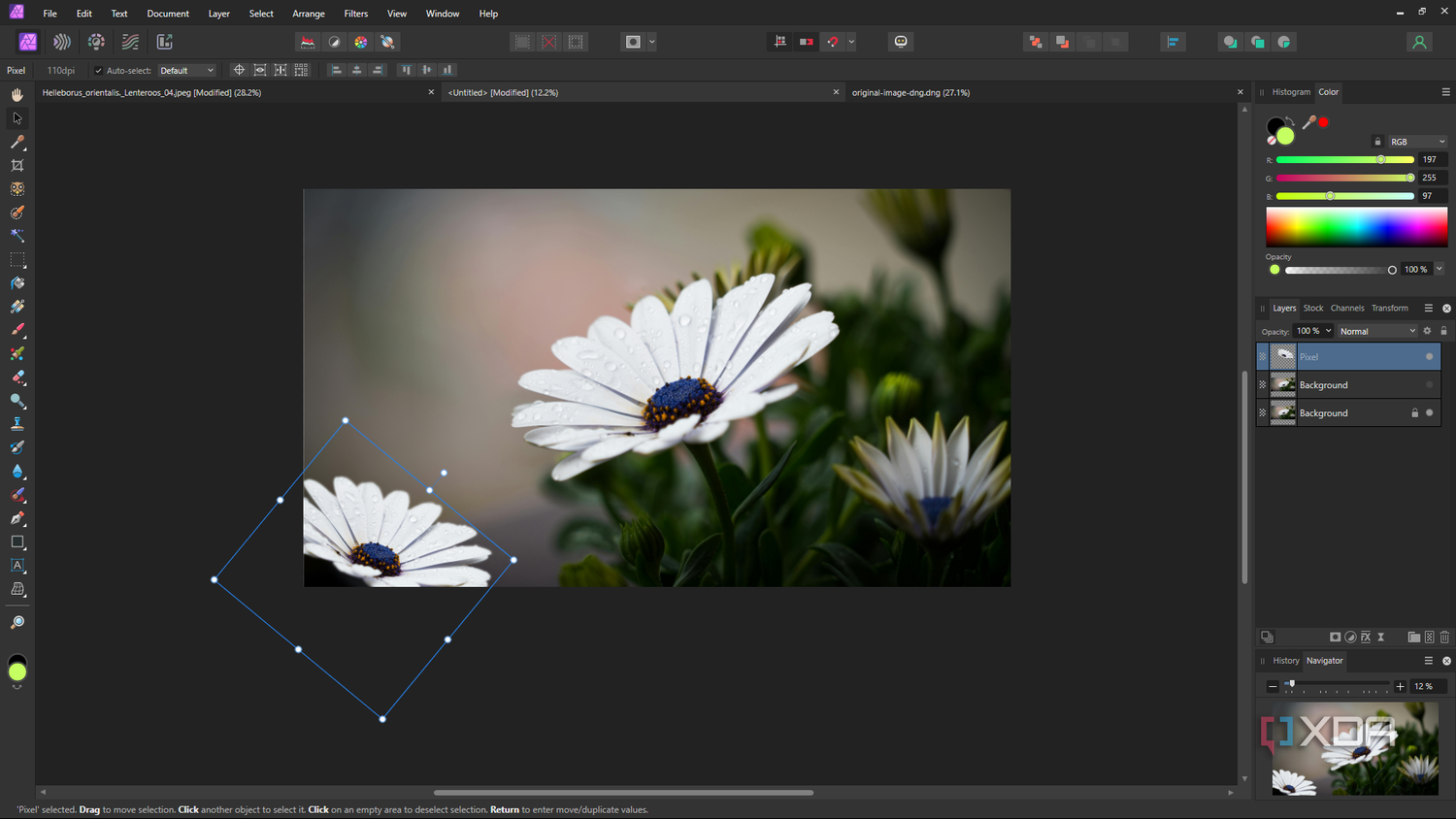 Affinity Photo duplicate selection