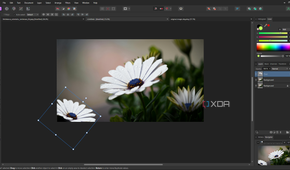 Affinity Photo duplicate selection