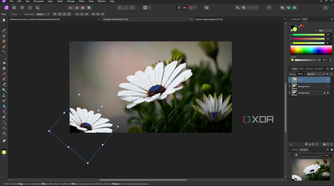 Affinity Photo duplicate selection