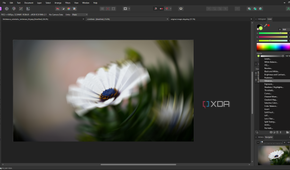 Affinity Photo live adjustments