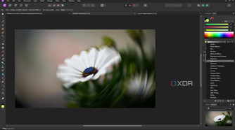 Affinity Photo live adjustments