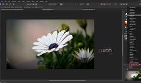 Affinity Photo live filters
