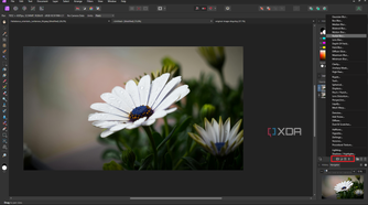 Affinity Photo live filters