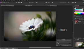 Affinity Photo live radial blur