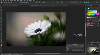 Affinity Photo live radial blur