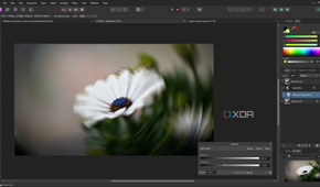 Affinity Photo live vibrance adjustment