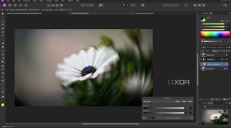 Affinity Photo live vibrance adjustment