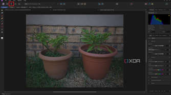 Affinity Photo Personas Develop