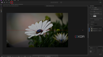 Affinity Photo Personas Export