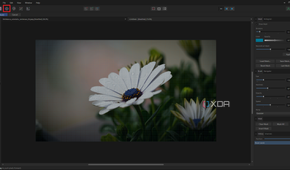 Affinity Photo Personas Liquify
