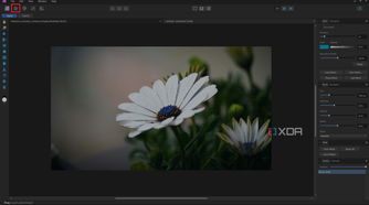 Affinity Photo Personas Liquify