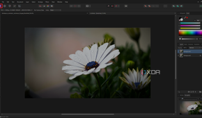 Affinity Photo Personas Photo