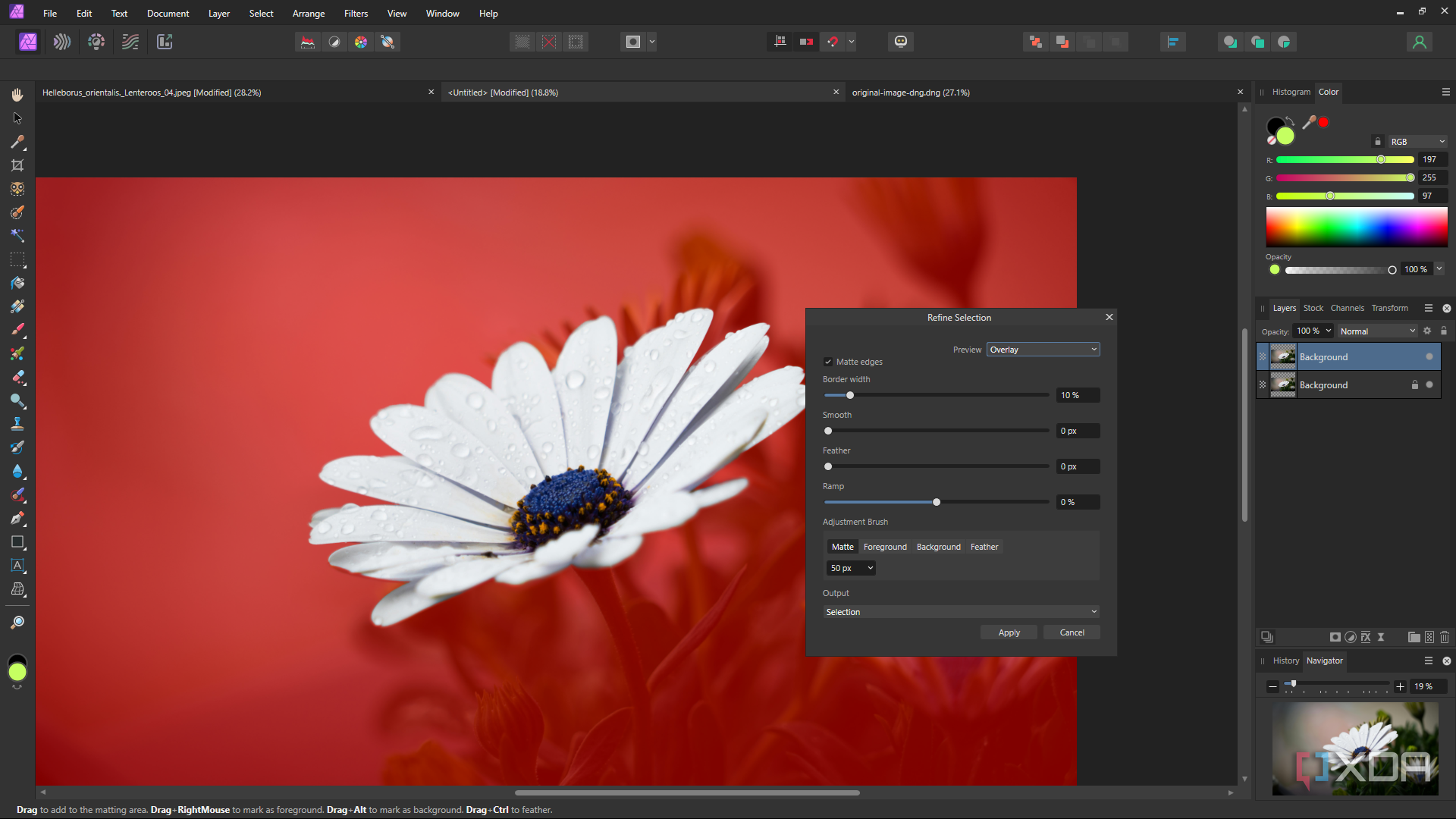 Affinity Photo selection brush settings