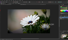Affinity Photo selection brush