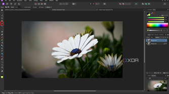 Affinity Photo selection brush