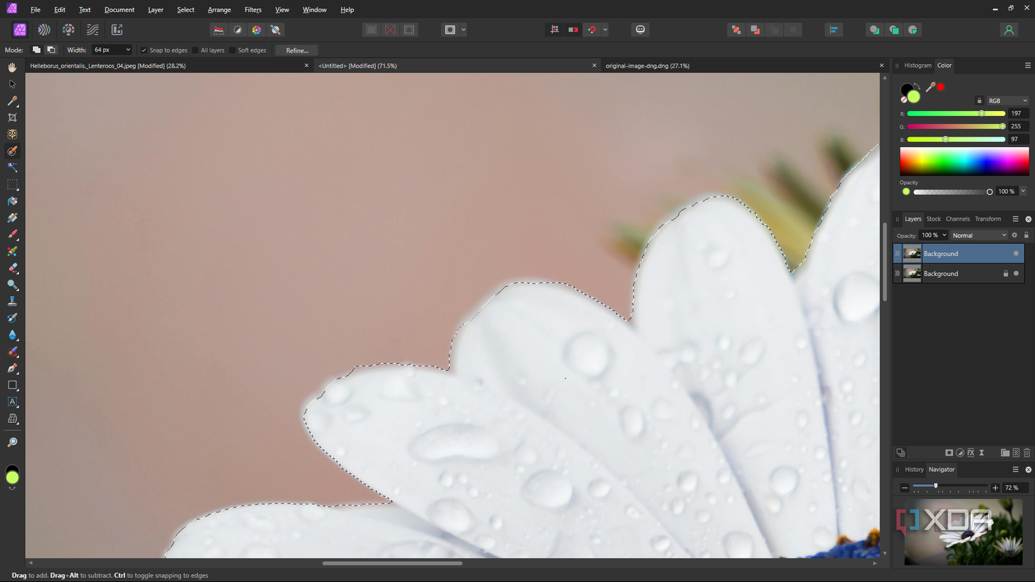 Affinity Photo selection close-up