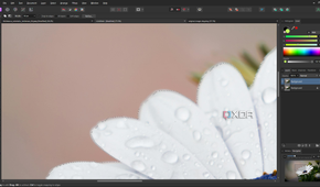 Affinity Photo selection close-up