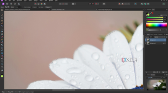 Affinity Photo selection close-up