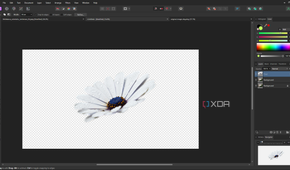 Affinity Photo selection mask