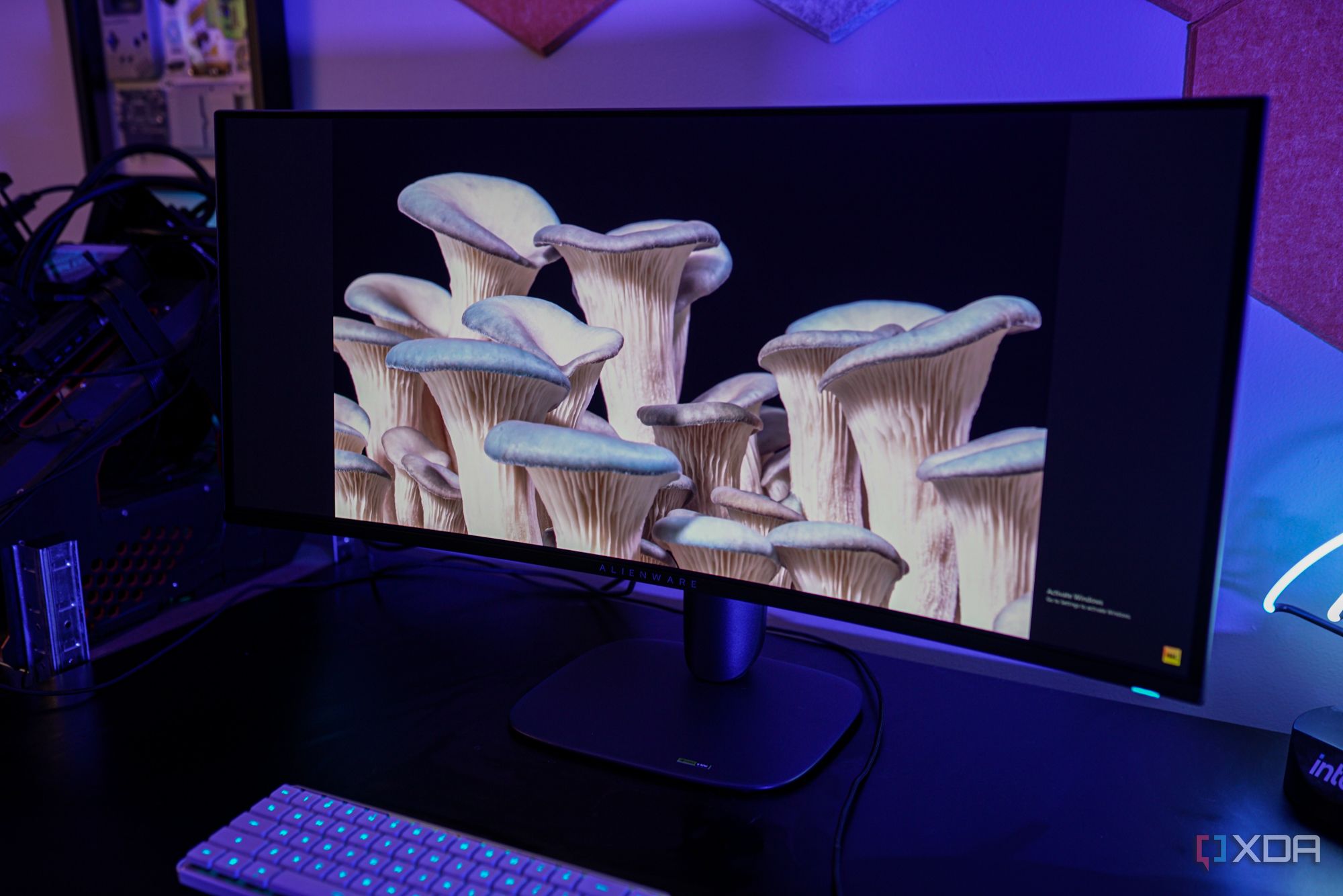 Alienware AW3425DW review: A QD-OLED legend reborn