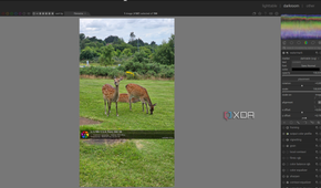 applying a watermark in darktable