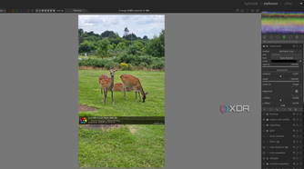 applying a watermark in darktable