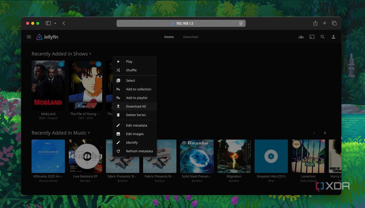 Checking file options in Jellyfin