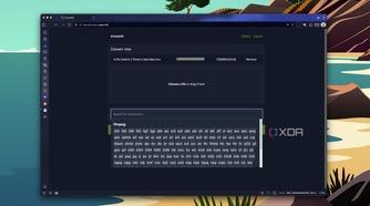 Screenshot of ConvertX's UI showing video output options available