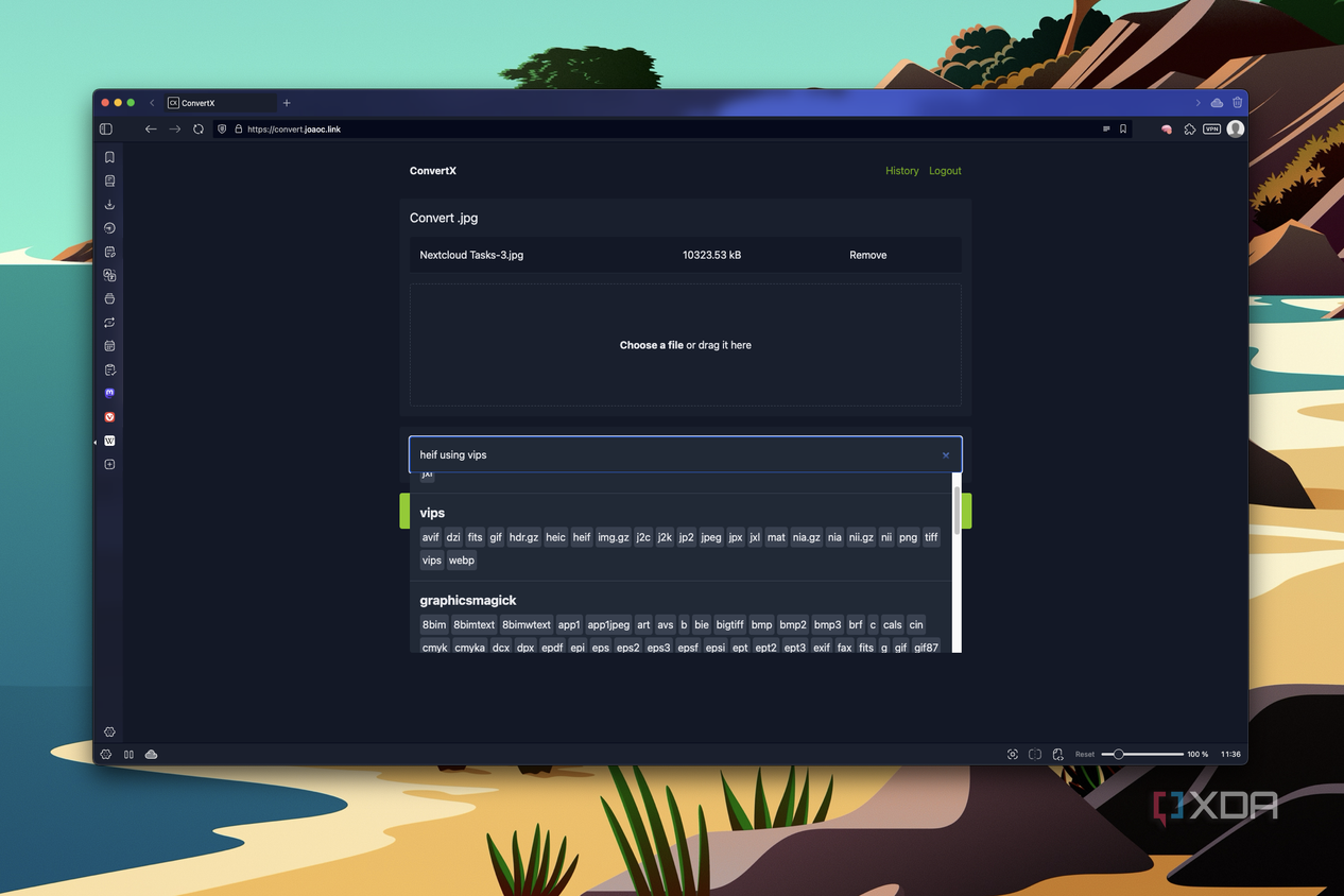 Screenshot of ConvertX showing options for converting an SVG file