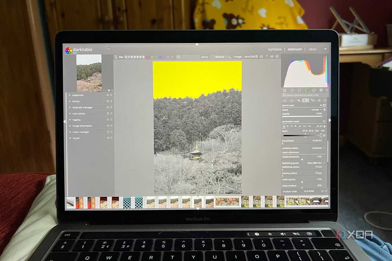 Darktable parametric mask used on a Japanese temple photo