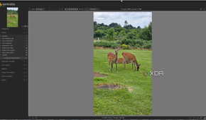 editing an image in darktable