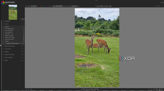 editing an image in darktable