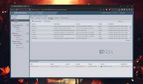 The Packages tab in ESXi