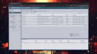 The Packages tab in ESXi