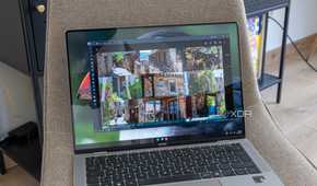 A Windows 11 laptop displaying photos in an album on Immich