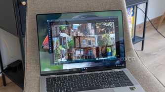 A Windows 11 laptop displaying photos in an album on Immich
