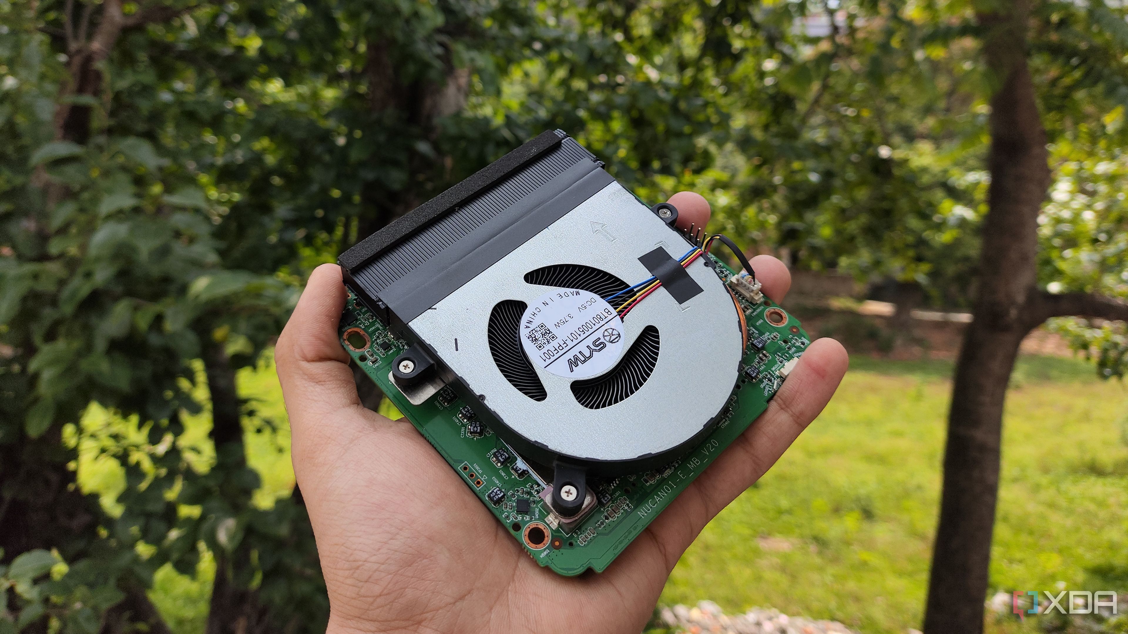 A person holding an Intel N100 system