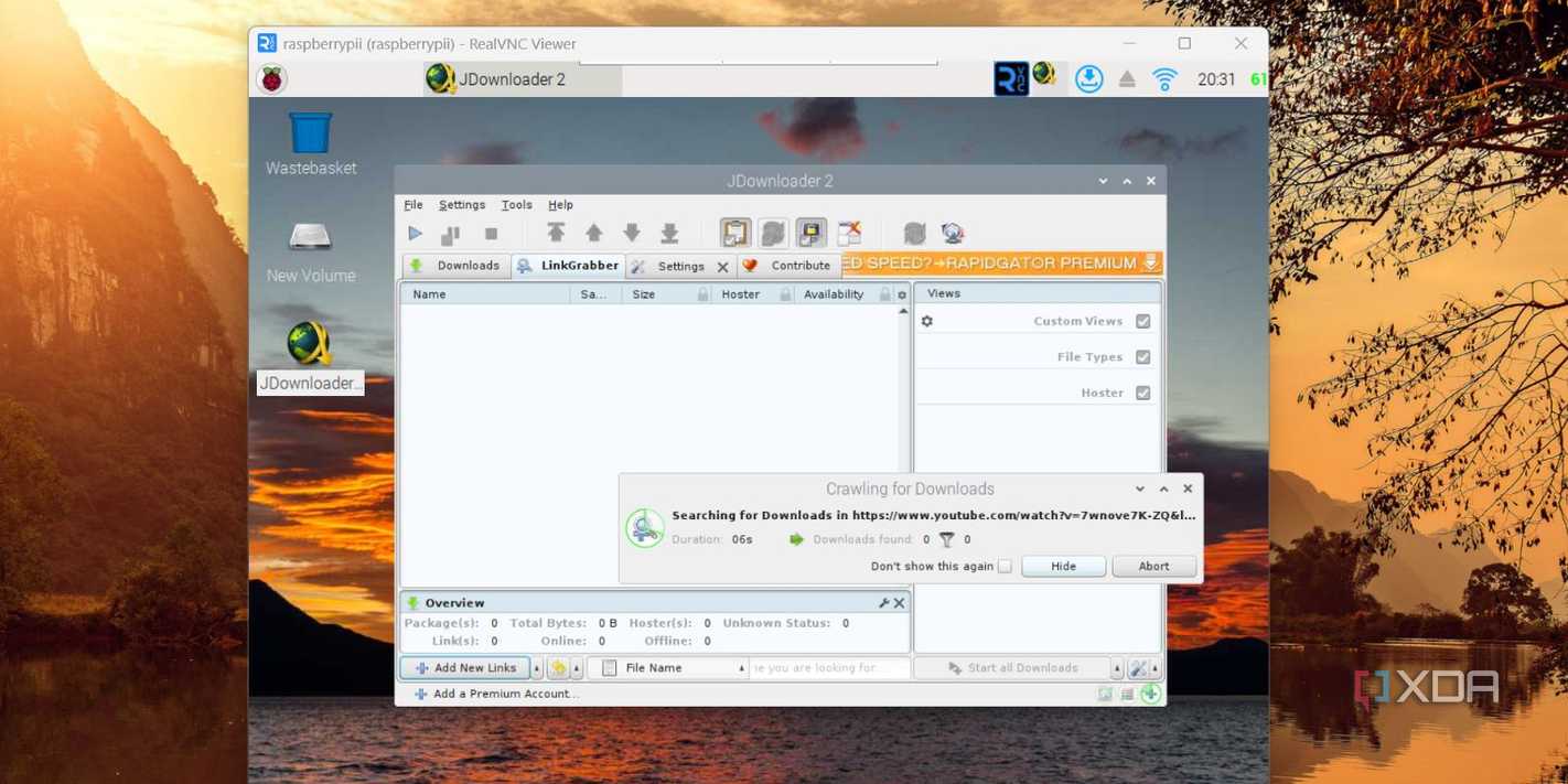 screenshot of jdownloader link add window on raspberry pi