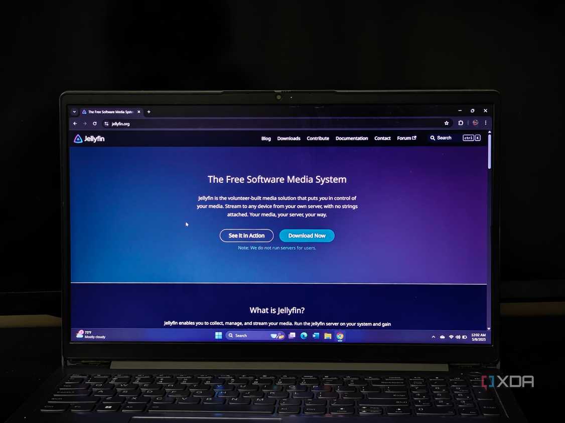 Jellyfin landing page
