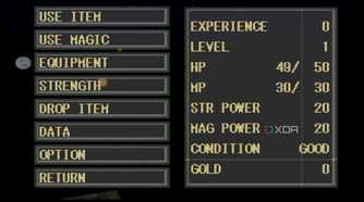 The pause menu in PlayStation 1 game King's Field.