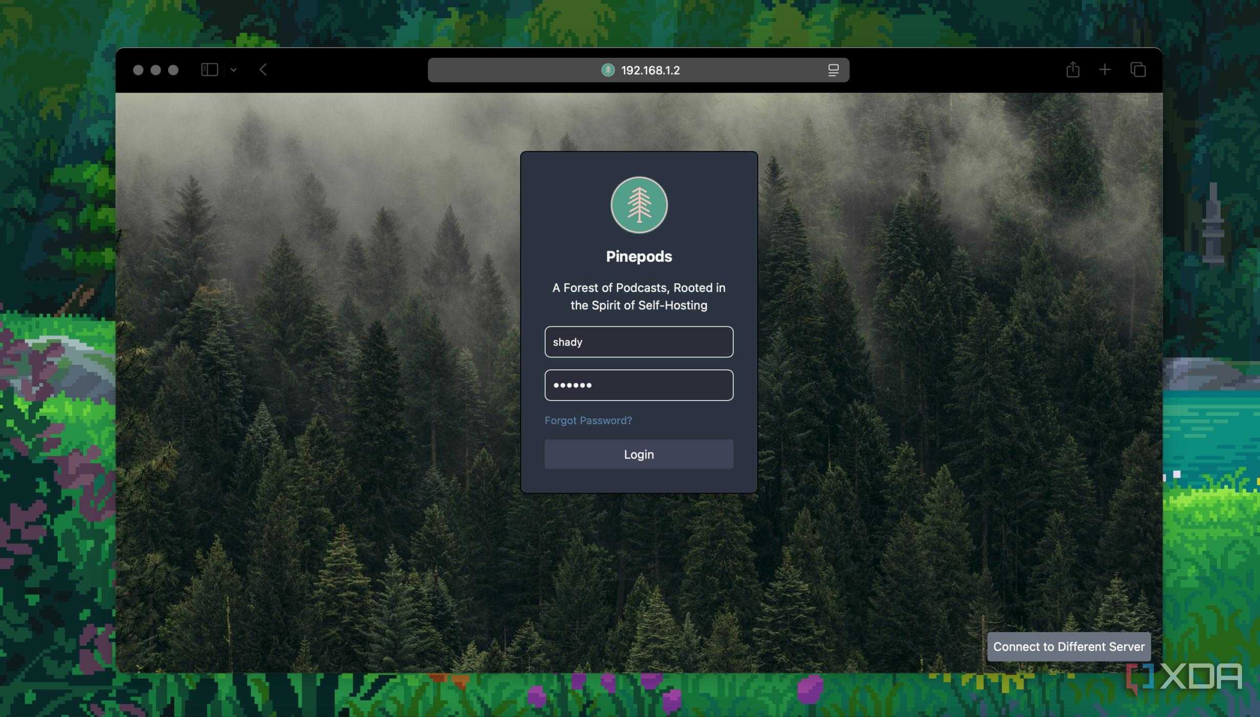 login screen of pinepods