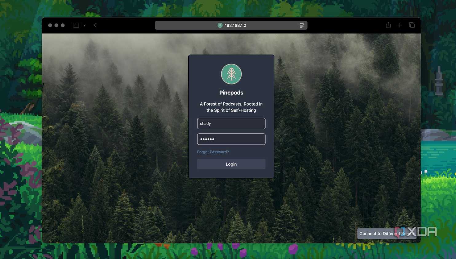 login screen of pinepods