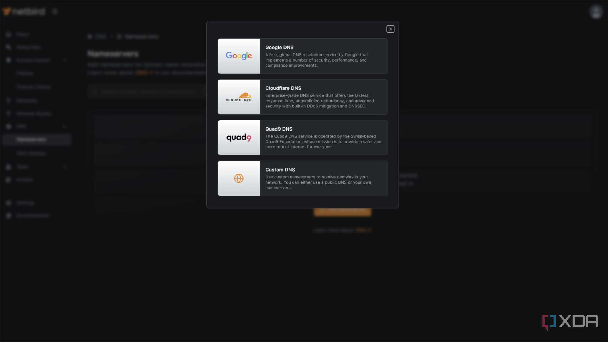 netbird-dns-nameservers